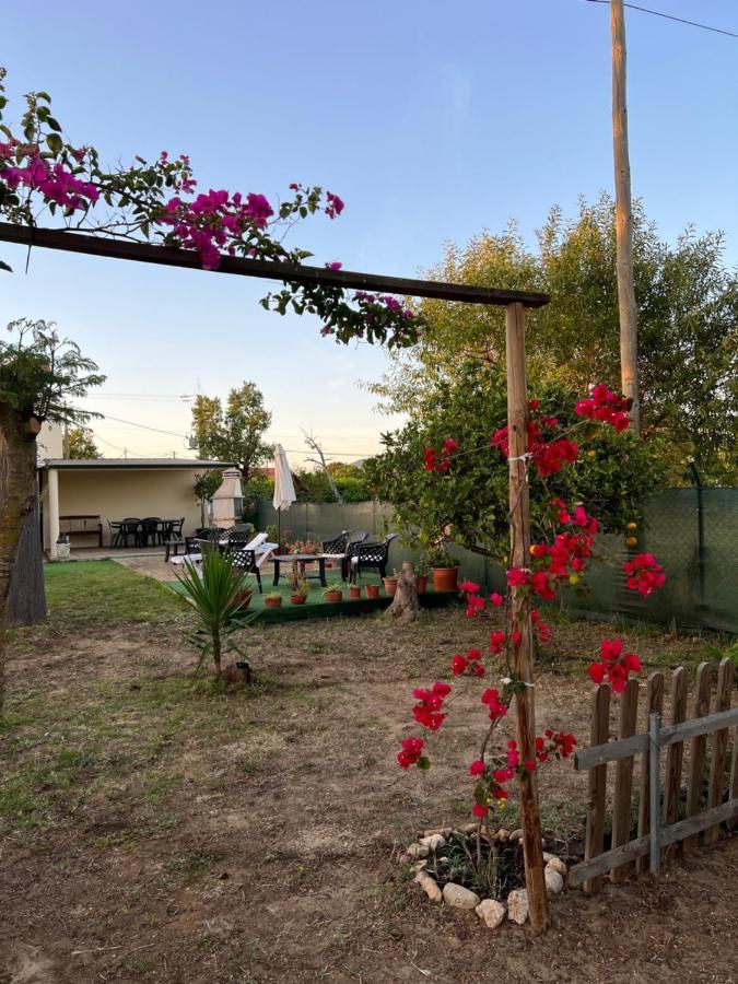 Quinta Dos Viegas Villa Faro Ngoại thất bức ảnh