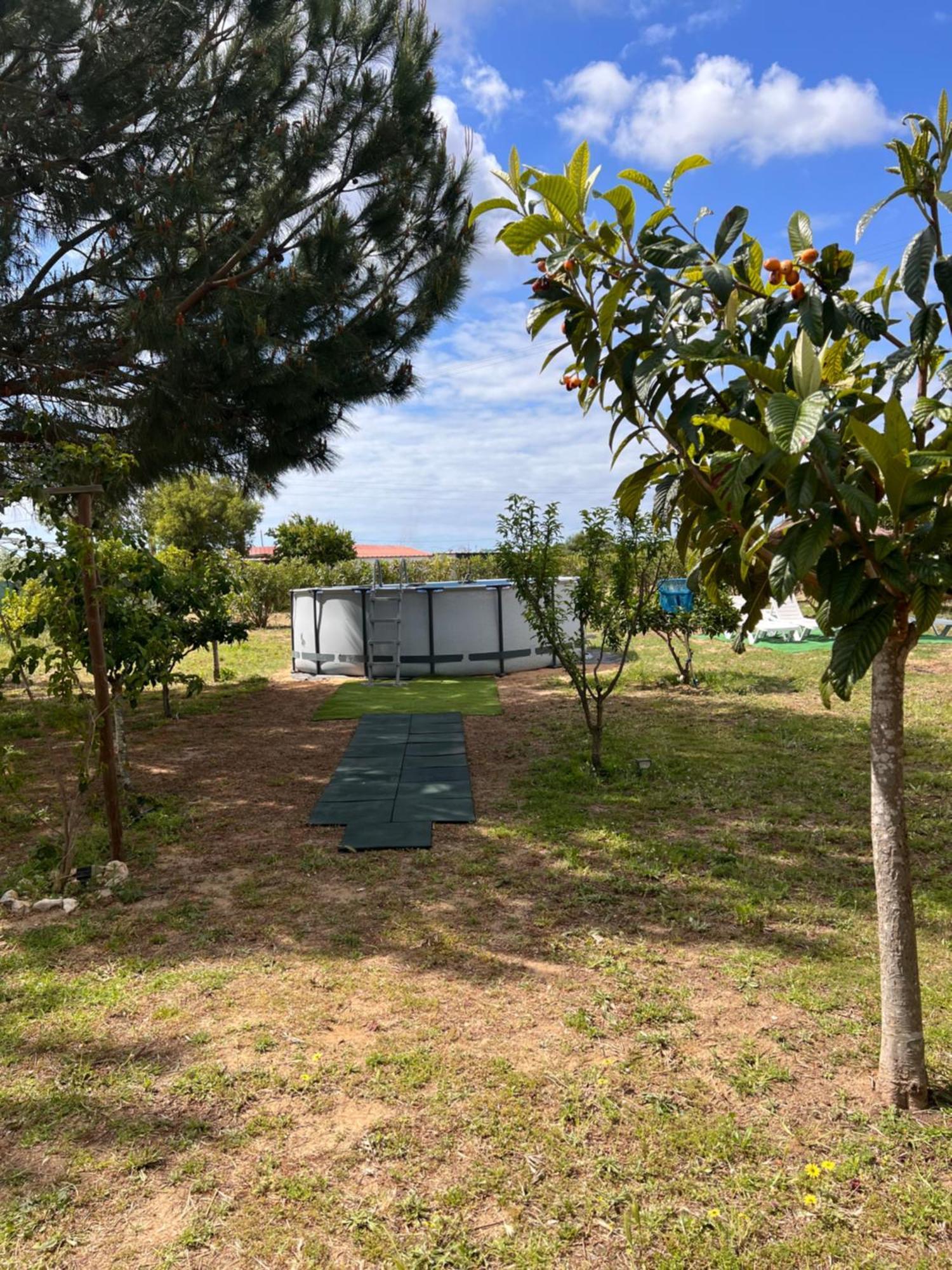 Quinta Dos Viegas Villa Faro Ngoại thất bức ảnh