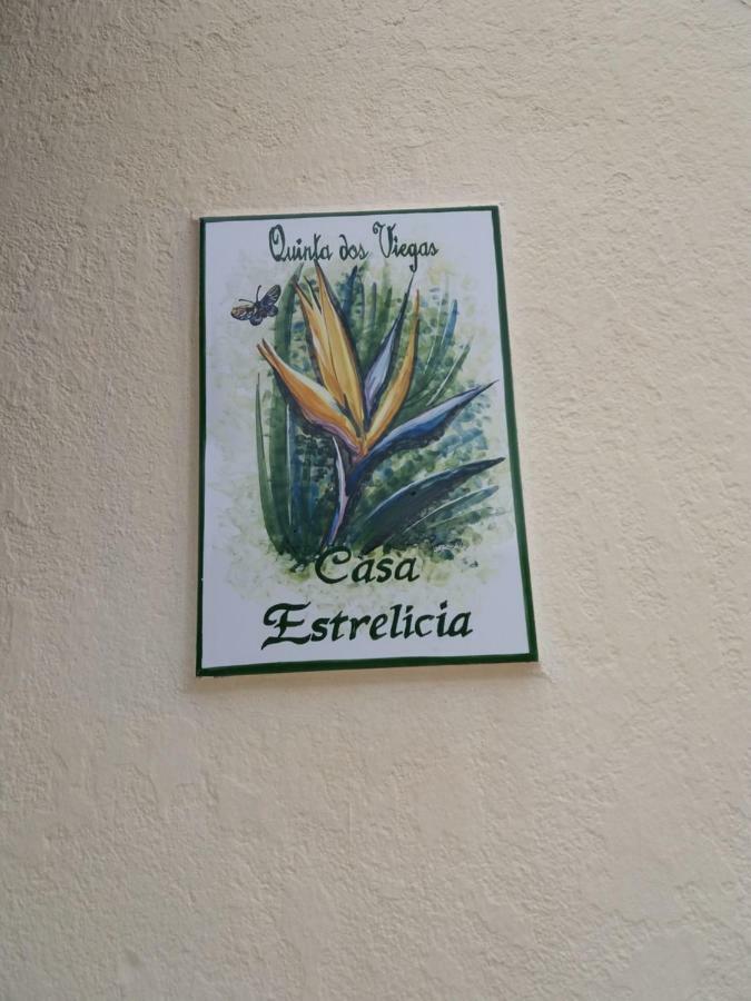 Quinta Dos Viegas Villa Faro Ngoại thất bức ảnh